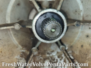 Volvo Penta 13 inch Rebuilt resealed bellhousing 835978 26 Fine spline New Skf Bearings .290 dp-A